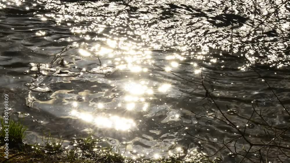 creek in back light with sparkling reflections creek in back light with sparkling reflections
