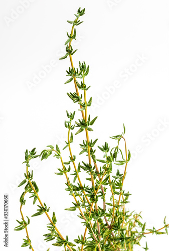 Bouquet of fresh and raw thyme. Isolated on white background. Ingredient of Mediterranean cuisine and healing home remedy. Home remedy healing.