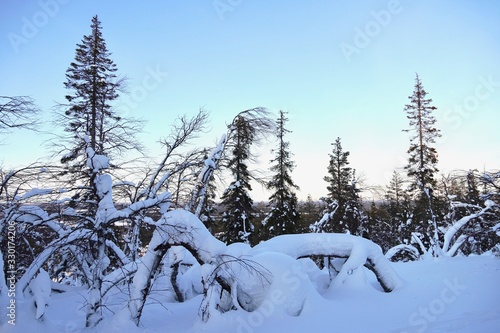 雪景色（フィンランド） © Photo by HARUKA