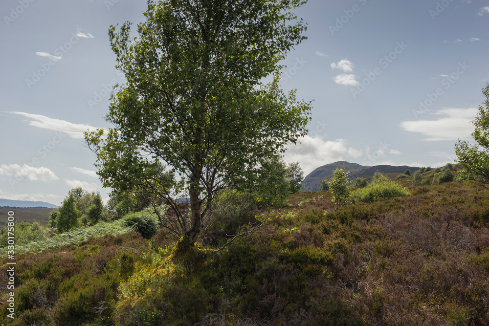 Panoramic view of Loch Ness from Meall Fuar-mhonaidh