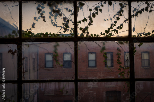 Εκτύπωση καμβά vines growing on a window