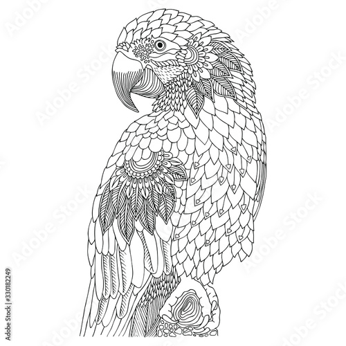 Macaw. Hand drawn parrot. Sketch for anti-stress adult coloring book in zen-tangle style. Vector illustration for coloring page, isolated on white background. Template for poster, t-shirt or tattoo.