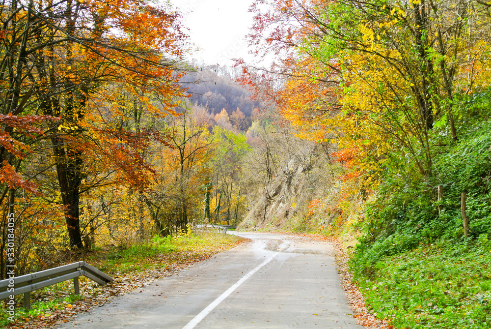 Asphalt road through forest in autumn (with trees with colorful yellow, orange, red, brown and green leaves), on mountain Kozara, in national park, near city Prijedor, RS, Bosnia and Herzegovina

