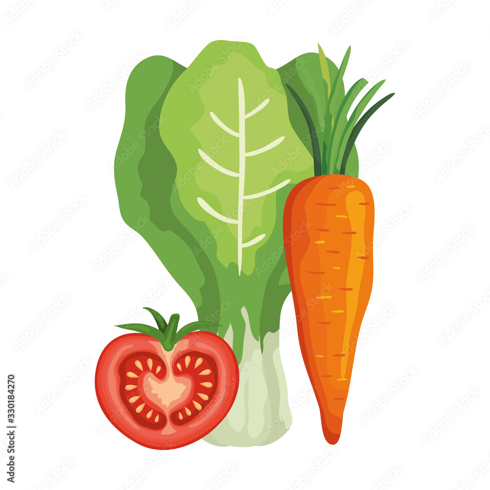 fresh tomato with chard and carrot vector illustration design fresh tomato with chard and carrot vector illustration design