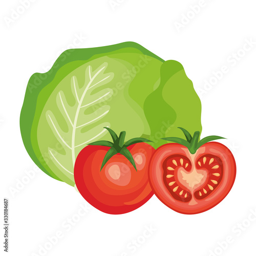 fresh tomatoes with lettuce vegetables vector illustration design