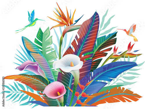 Tropical jungle plants, flower and hummingbirds