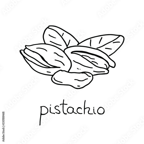 Hand drawn pistachio sketch. Nut with shell and leaves. Vector isolated. 