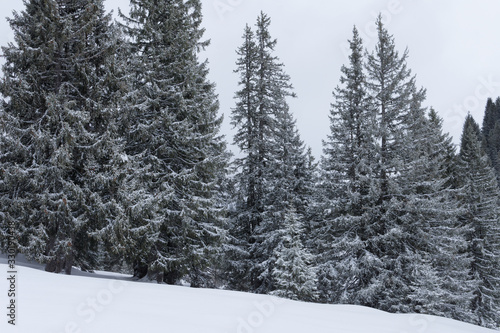 Paysage enneige du mont blanc dans les alpes