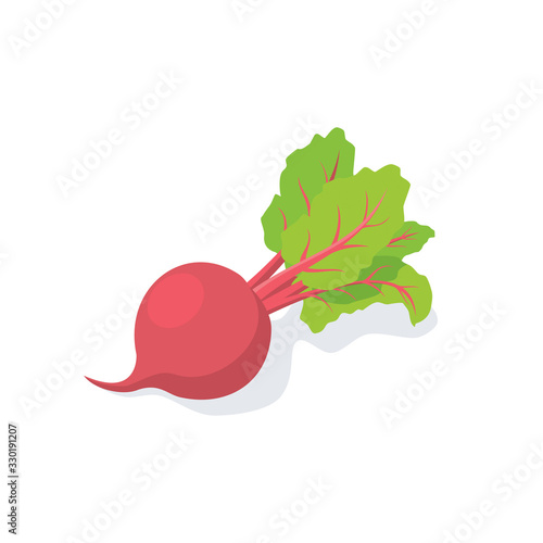 Beet vector 3d isometric, color web icon, new flat style. Creative illustration design, graphic idea for infographics.