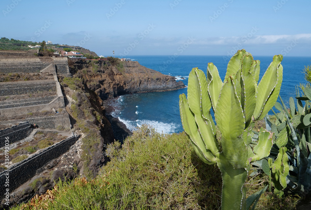 Εκτύπωση καμβά Cactuses on the coast of Tenerife island, Canary islands, Atlantic ocean