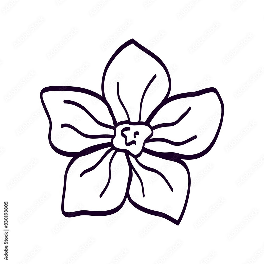 cute flower natural line style icon vector illustration design