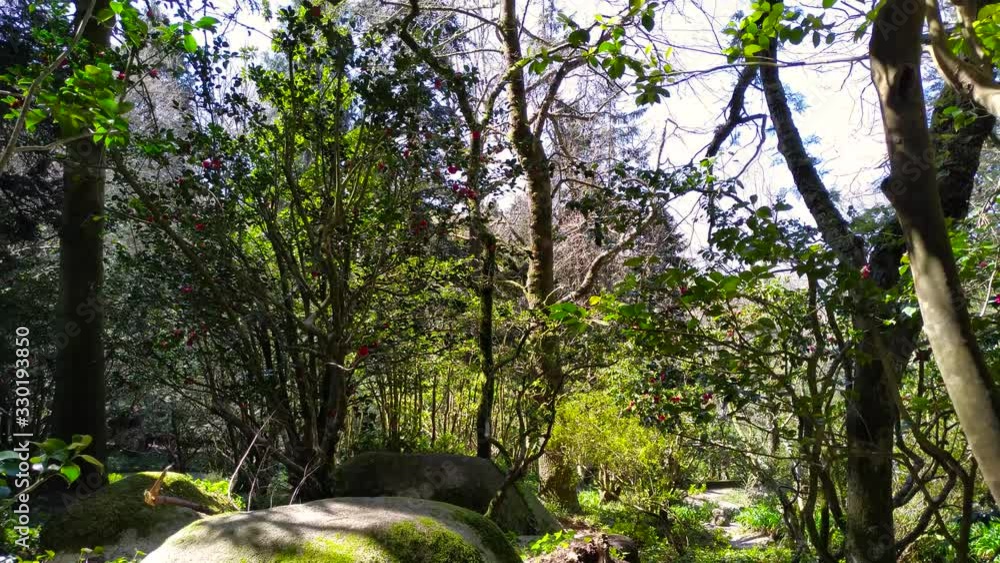 Sintra garden near the famous Pena palace in Sintra, Portugal Sintra garden near the famous Pena palace in Sintra, Portugal