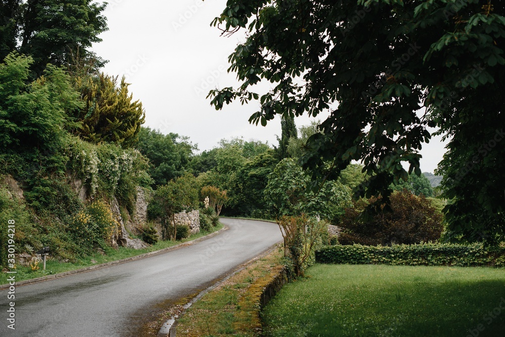 Morning summer photo of country road, cloudy sky. Photography of light fog, Europe, the middle lane. Morning summer photo of country road, cloudy sky. Photography of light fog, Europe, the middle lane.