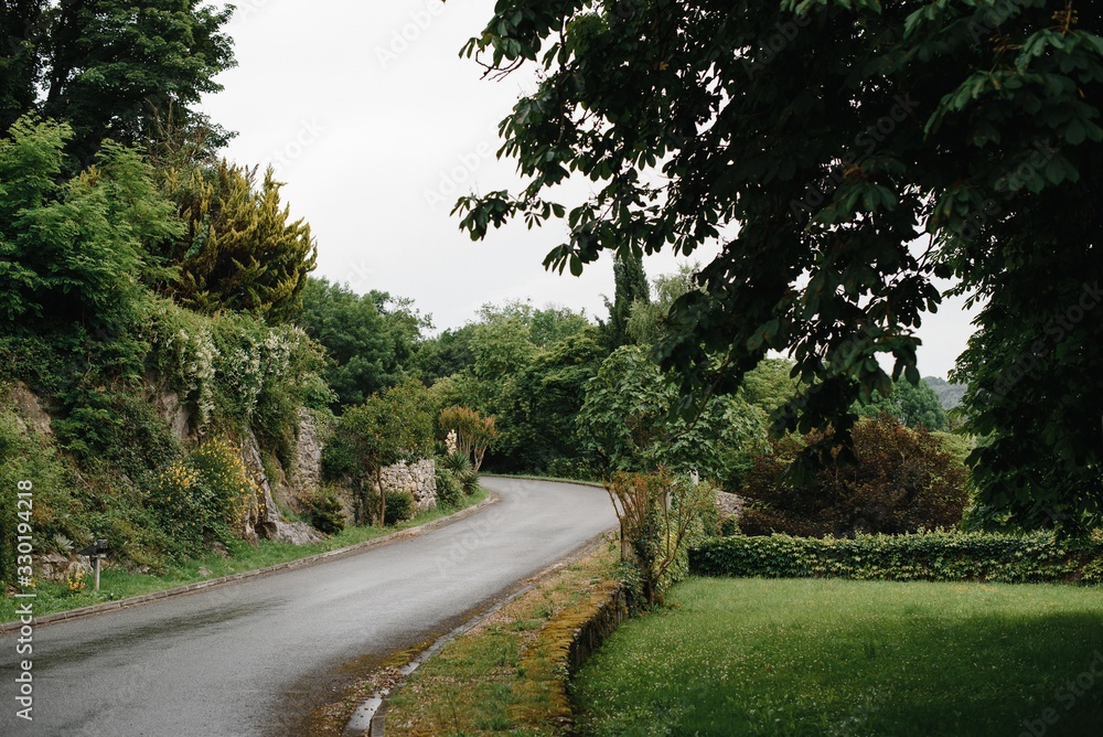 Morning summer photo of country road, cloudy sky. Photography of light fog, Europe, the middle lane.