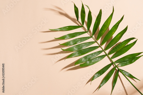 Congratulation corner frame from green twigs of tropical exotic leaves on a pastel beige background.