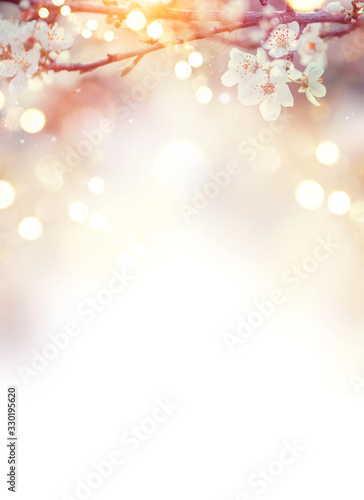 Fototapeta Spring Nature Easter art background with blossom. Beautiful nature scene with blooming flowers tree and sun. Vertical art, Spring flowers. Beautiful Orchard. Abstract blurred background. Springtime