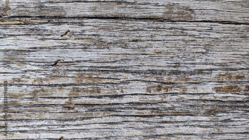 Wood textured backgrounds, wooden boards, textured boards Wood textured backgrounds, wooden boards, textured boards