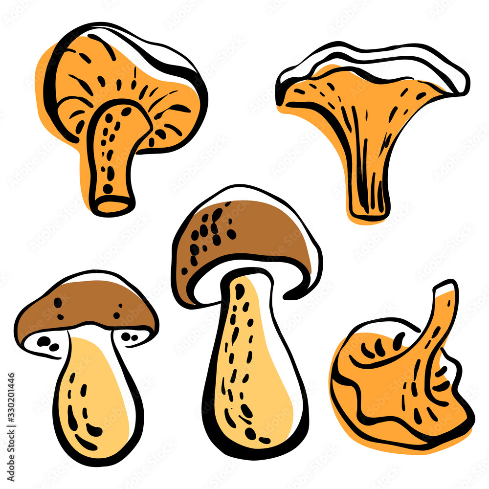 Wild mushrooms, chanterelle mushrooms. Colorful sketch of vegetables isolated on white background. Doodle hand drawn vegetables. Vector illustration Wild mushrooms, chanterelle mushrooms. Colorful sketch of vegetables isolated on white background. Doodle hand drawn vegetables. Vector illustration