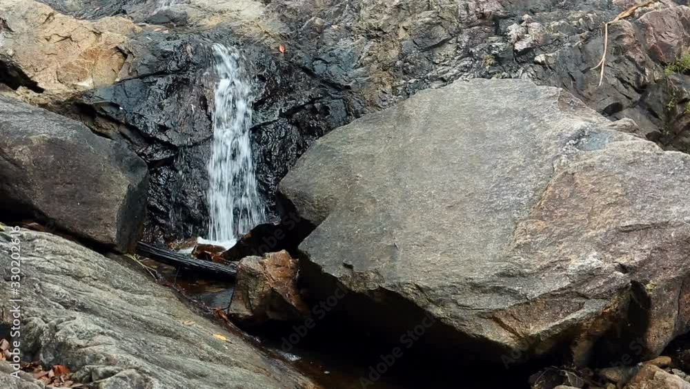 Forest Stream. Waterfall Tropical jungle, wild nature. Beautiful waterfall, wildlife. Tropical palm jungle. Trees and Exotic plants of Asia. Forest Stream. Waterfall Tropical jungle, wild nature. Beautiful waterfall, wildlife. Tropical palm jungle. Trees and Exotic plants of Asia.
