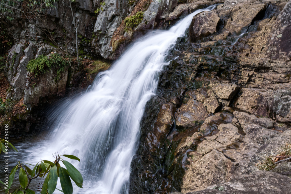 Naklejka premium waterfall in the forest