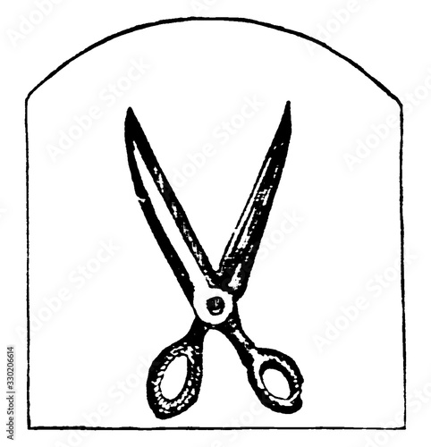 Shears, vintage illustration.