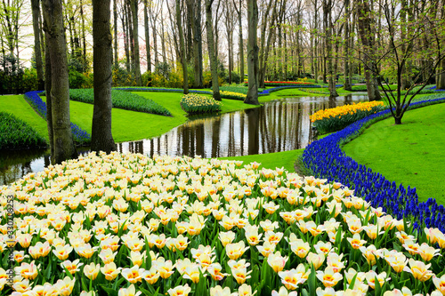 Spring tulips and flowers along a canal at the beautiful Keukenhof Gardens, Netherlands #330208253