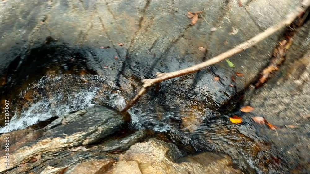 Forest Stream. Waterfall Tropical jungle, wild nature. Beautiful waterfall, wildlife. Tropical palm jungle. Trees and Exotic plants of Asia. Forest Stream. Waterfall Tropical jungle, wild nature. Beautiful waterfall, wildlife. Tropical palm jungle. Trees and Exotic plants of Asia.