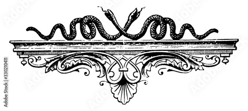 Snakes on shelf have a good arrangements or artwork, vintage engraving.