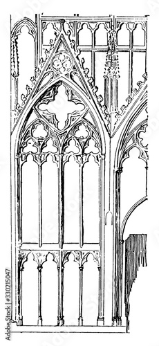 Wall Traceries, exceptional refinement,  vintage engraving.