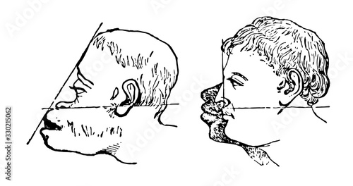 Facial Angles is an angle, vintage engraving.
