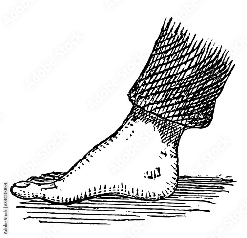 Foot, vintage illustration