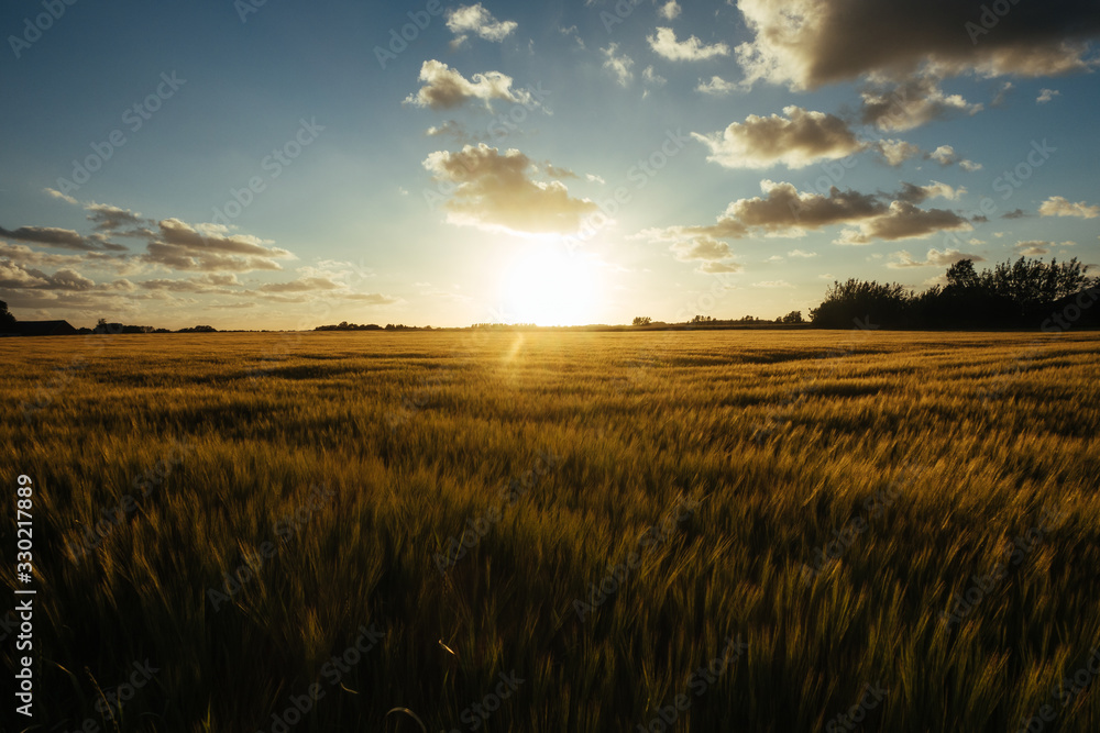 Golden sunset over a large field in a rural area