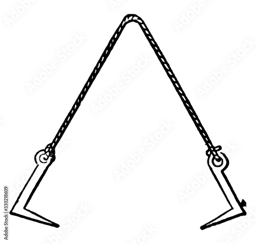 Sling Dogs, vintage illustration.