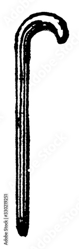 A walking stick, vintage engraving.