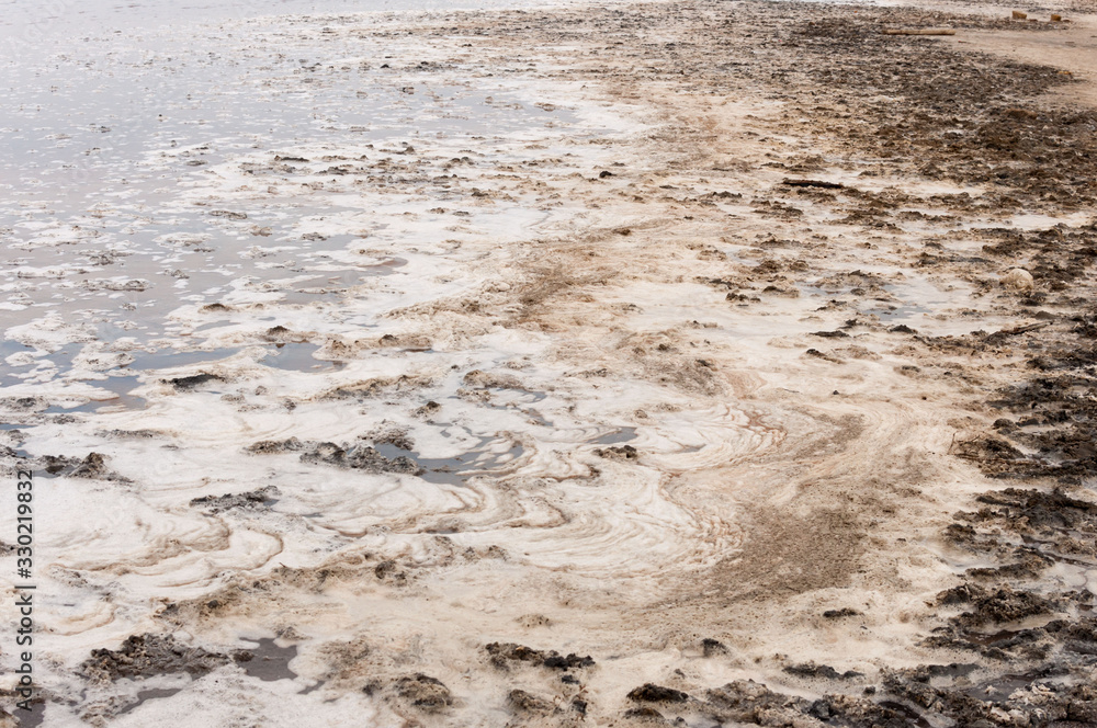 Shore of a pink salt lake. Thick mineral clay in a water creeper. Shore of a pink salt lake. Thick mineral clay in a water creeper.