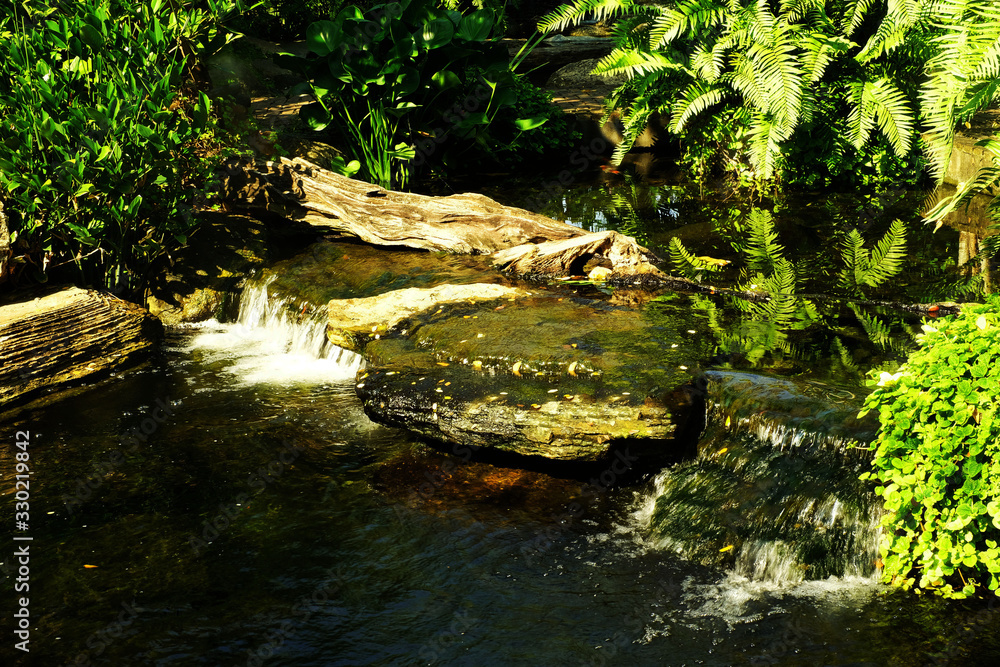 Cascade of candor in greenery garden Cascade of candor in greenery garden