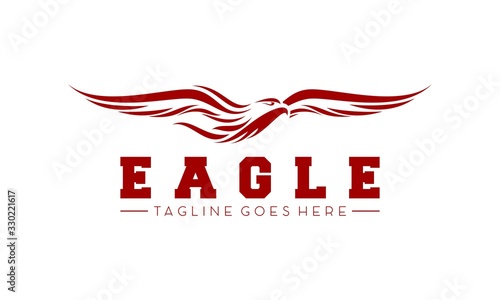 Eagle simple luxury vector logo photo