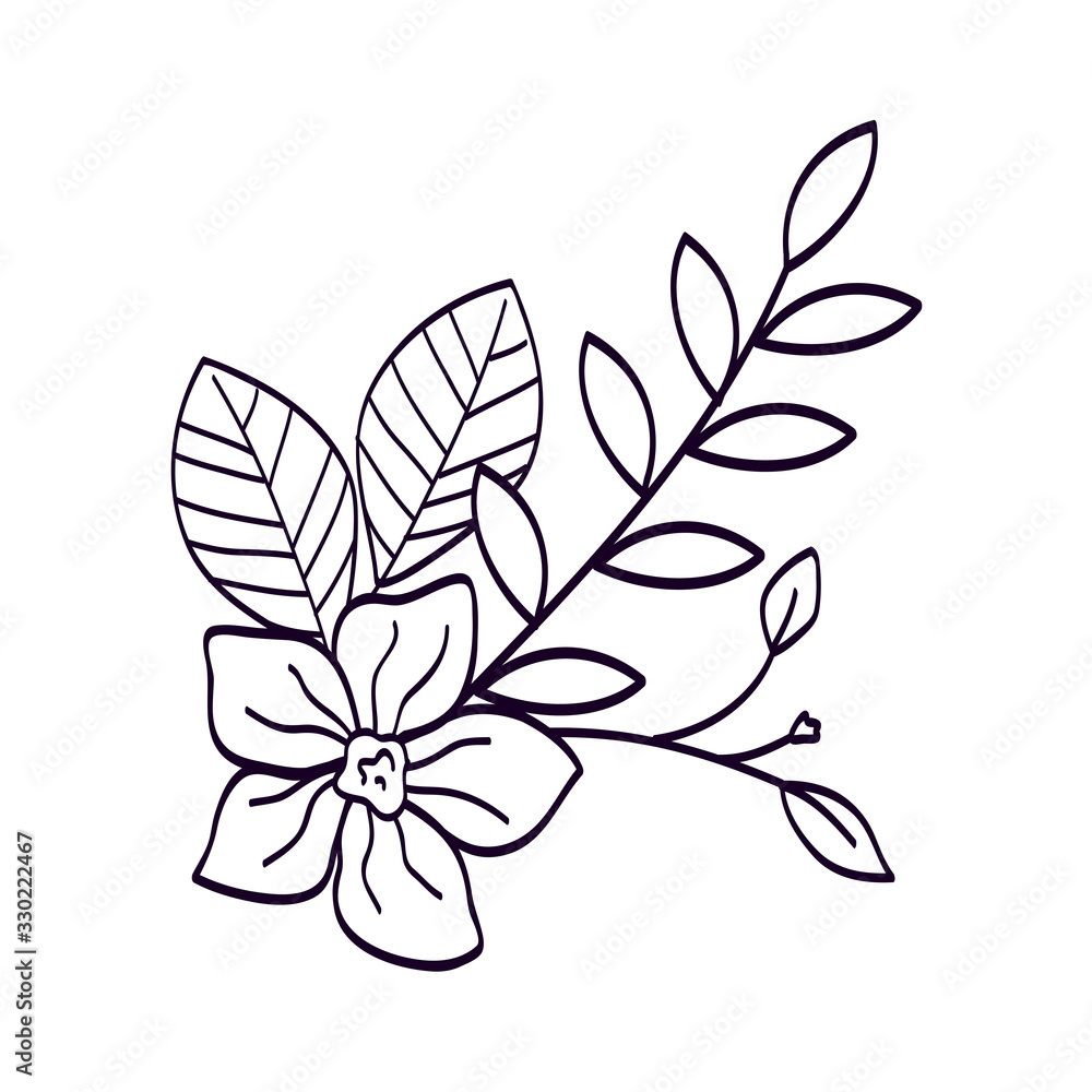 cute flower with branches and leafs line style icon vector illustration design cute flower with branches and leafs line style icon vector illustration design