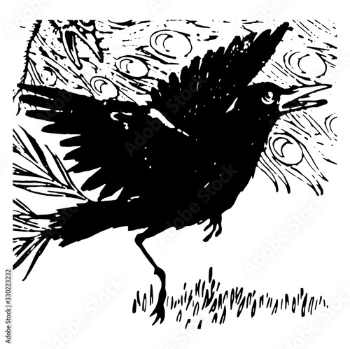 Aesop, The Vain Jackdaw, vintage illustration