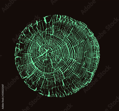 Vector wood texture of cracked rings pattern from a felled tree. Blue green wooden stump isolated on black.