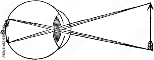 Inversion of Objects by the Eye, vintage illustration.