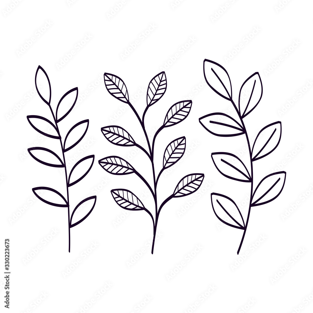 branches with leafs natural line style vector illustration design branches with leafs natural line style vector illustration design