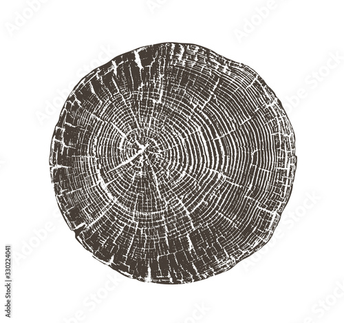 Black and white stamp of wood texture of tree rings from a slice of log. Contrast negative monotone image of cut tree.