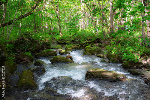 Oirase Stream Aomori City Japan