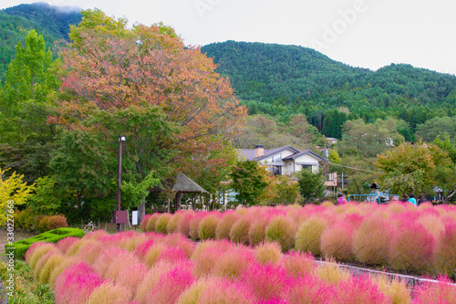 Coria Oishi Park in Oishi Park Japan