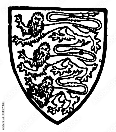 England bore Gulles three lions' legs razed silver, vintage engraving.