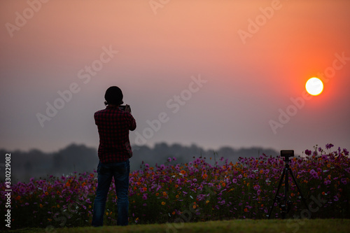 A male photographer is photographing the morning cosmos