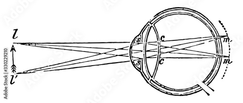 Flattened Eye, vintage illustration.