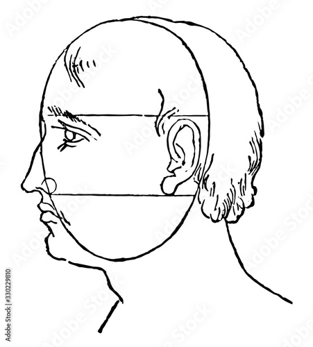 Face Perspective, laws of perspective,  vintage engraving.