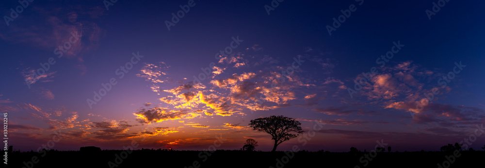 Panorama silhouette tree in africa with sunset.Tree silhouetted against a setting sun.Dark tree on open field dramatic sunrise.Typical african sunset with acacia trees in Masai Mara, Kenya - obrazy, fototapety, plakaty 